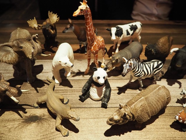 サファリ以外に生息する野生動物も大勢！ときどき行方不明になる動物もいるそうなので、どうか「見て」楽しんで