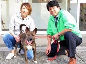 脱ペットショップ！　犬猫の販売をやめ、保護犬猫の譲渡を事業に