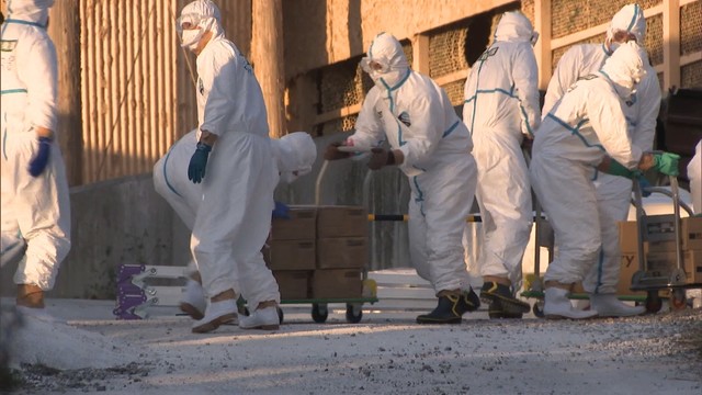 【資料】三豊市の養鶏場