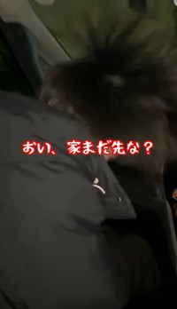 車内では激しく頭を左右に振ってヘッドバンキングを披露／サナ（@sana_goodlife）さん提供