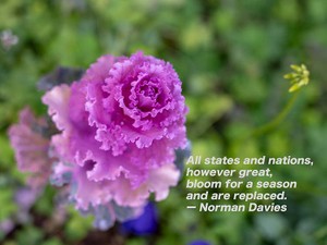 【英語で名言】ヨーロッパ史の大家が語る「栄枯盛衰」の言葉の重み