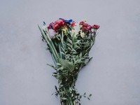 いつか社会人留学してやる。拗らせすぎた憧れを抱き続ける私に花束を