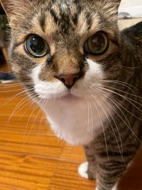 （飼い主提供）