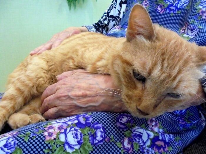 「今日も触れあってまーす」（入間東幸楽園提供）