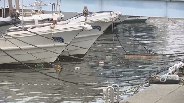 香川･多度津港 午前10時半ごろ