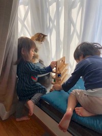 兄妹の遊びを見守る、海岸で地引き網をしていた時に保護されたビッキーちゃん（提供：ほそいあや さん）