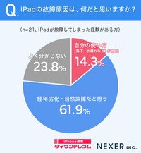 iPadの故障原因は、何だと思いますか？（提供画像）