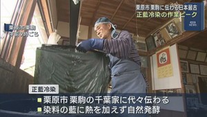 日本最古の染色技法　正藍冷染が盛ん　宮城・栗原市栗駒