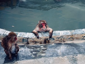 混浴文化を通して学ぶ社会学は多様性を考えるヒントになるはず