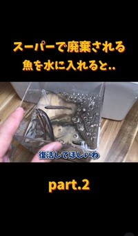エアレーションを入れてみた（「エマスちゃんねる / EMAS CHANNEL」さん提供、Instagramよりキャプチャ撮影）