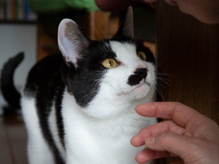 はいわかってます、気をつけます