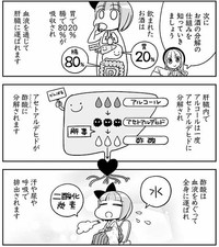 肝臓がアルコールを分解する仕組み　©杉村啓/アザミユウコ/星海社