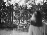 最後の「ありがとう」。近くにいるだけが愛じゃないと教えてくれた彼