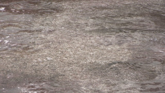 岡山市北区　14日午後4時半ごろ