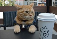 カフェでは行儀よく一休みする（滋賀県草津市）
