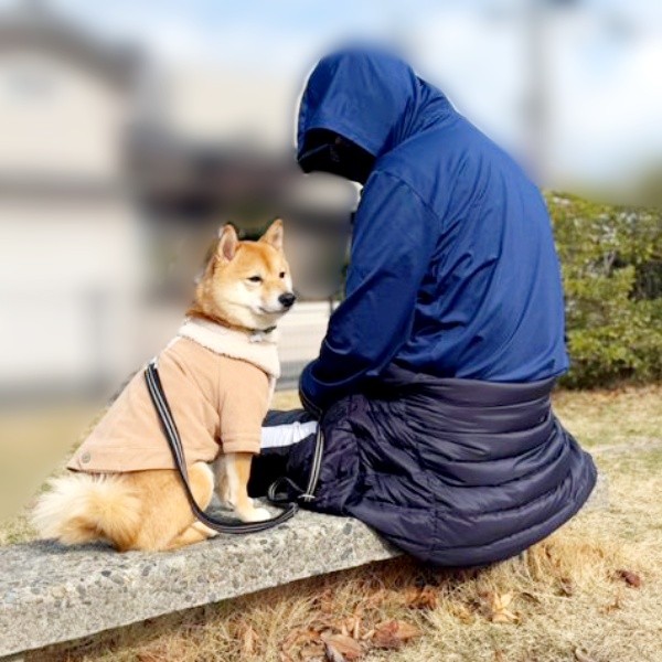 散歩中、飼い主さんと一緒に座る禄くん（画像提供：柴犬 ろくさん）