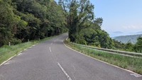 オートバイとイノシシ衝突現場　高松市亀水町