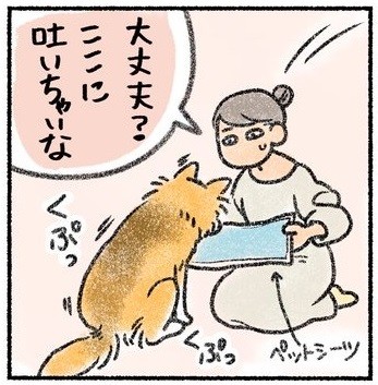 なんて優しい飼い主さん…(さかぐちまやさん提供）