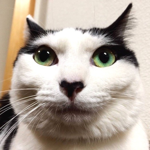 「カメラ、近すぎやろ」