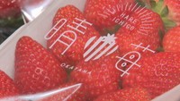 岡山県産の農産物約100種類が販売されている
