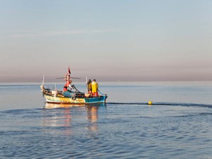 多趣味な父と、一緒に楽しむ母。2人がいたからできた幸せな思い出