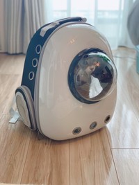 ※オキエイコさん提供