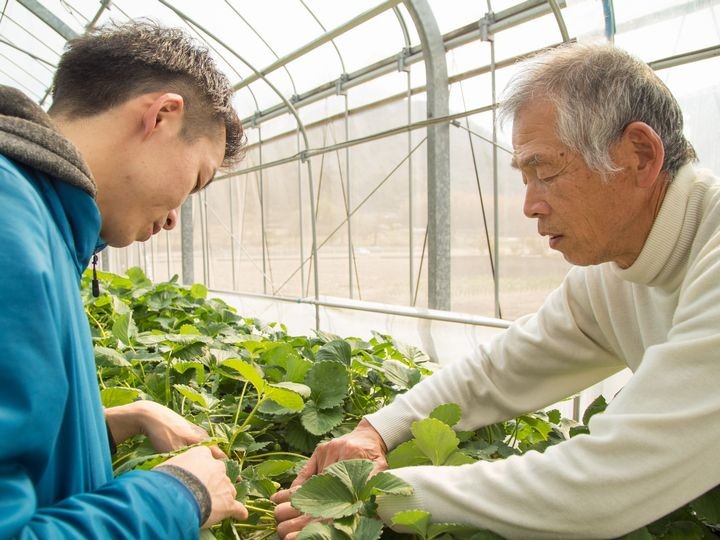 特例承継計画とは】特例事業承継税制適用への手続き・要件を解説
