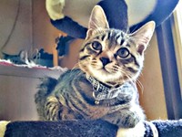 すくすくと成長していった正宗くん（画像提供：よしゅあさん）