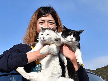 車で「出勤」してくる看板ネコ　兄弟２匹「とろ」と「むぅ」
