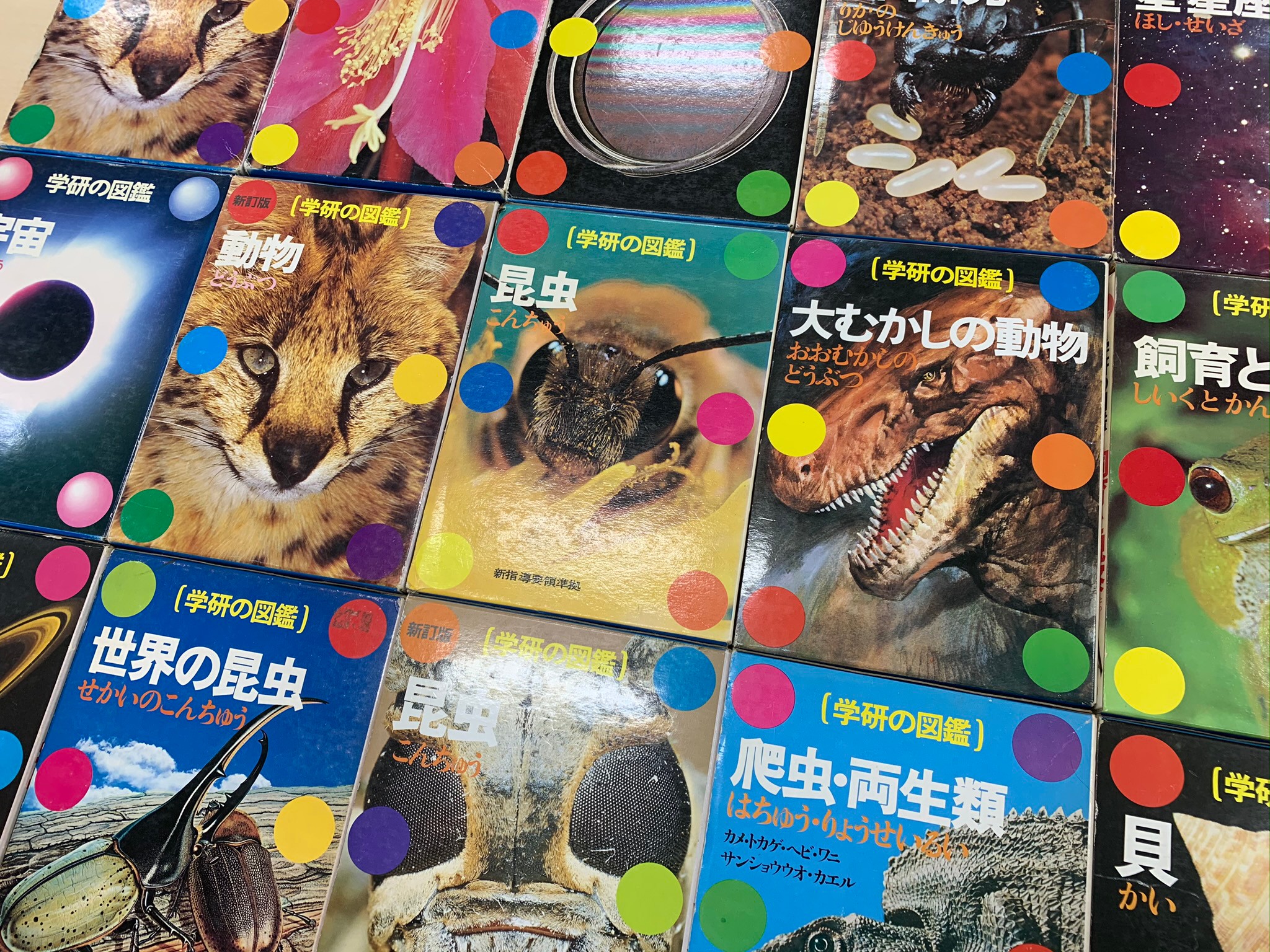 懐かし過ぎる！1970年創刊「学研の図鑑」水玉表紙が“復活“ 「持ってたわ」「小学校の図書館にあった」｜まいどなニュース