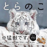 写真集「とらのこ」（辰巳出版）より＝写真・RIKU