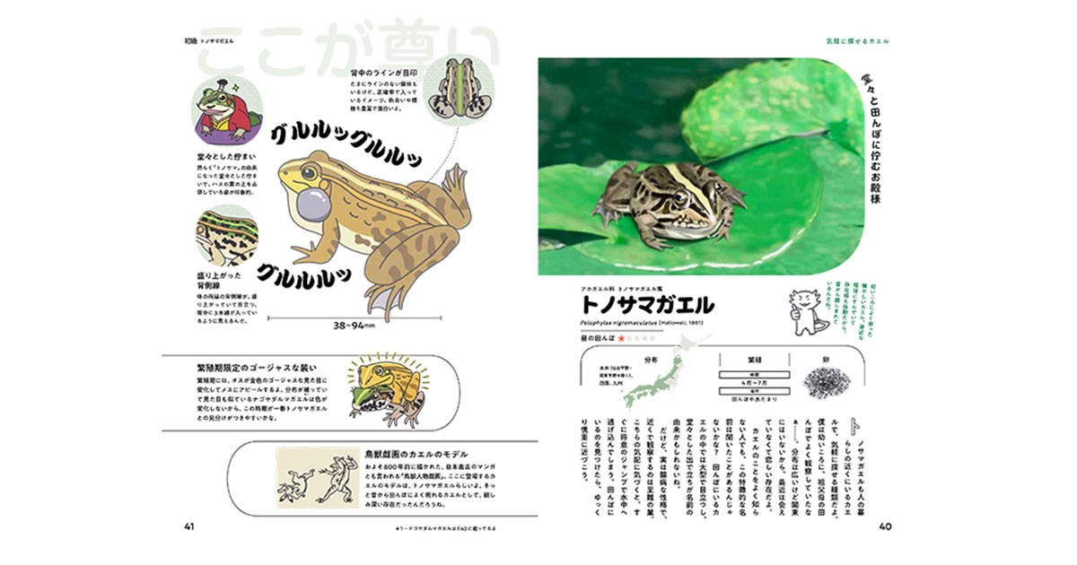 日本産カエル大鑑 - 本