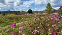 岡山県提供