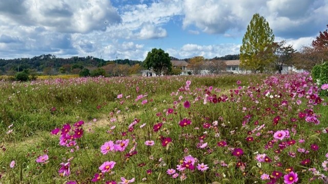 岡山県提供
