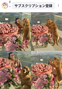 MALIA.(@official.malia)さんのインスタグラムより