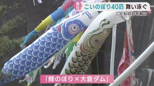 こいのぼり４０匹大倉ダムを舞う　地元の小中学生が制作　仙台市青葉区