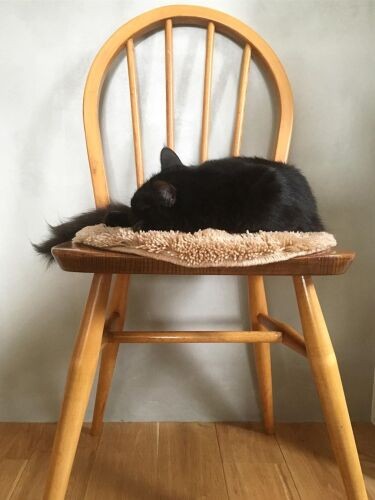 お気に入りの場所で