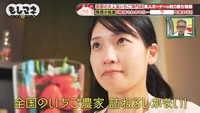 「全国のイチゴ農家を訪ねるしかない」と決心。全国のイチゴ農家を尋ね歩いた©テレビ大阪