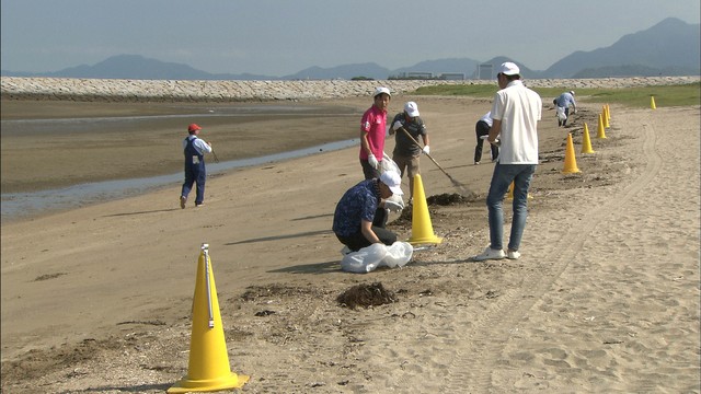 素足で歩ける砂浜を次の世代に残そう　海水浴場の清掃活動　香川・観音寺市