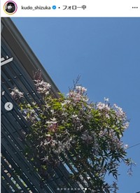 工藤静香のインスタグラム＠ kudo_shizukaより