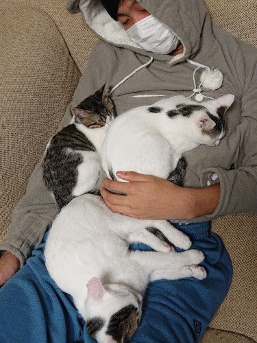 クリスマス・イブに帰ってきた下のお兄ちゃんに「アタシもアタシも」と甘えて4兄妹で寝落ち