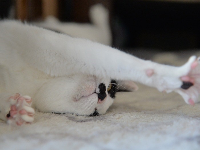 私の裏の顔！いたずら好きで時々家族を心配させちゃう