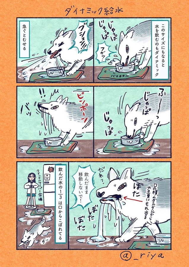 デカい犬さんの「ダイナミック給水」（漫画「デカい狼犬との日常」より／提供：riyaさん）