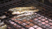 お正月の雑煮のだしにいかが？　高級品「焼きハゼ」の販売始まる　岡山市