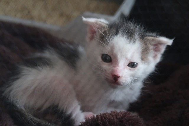 レイくんの退院を待つカズくん…なんだか寂しそう