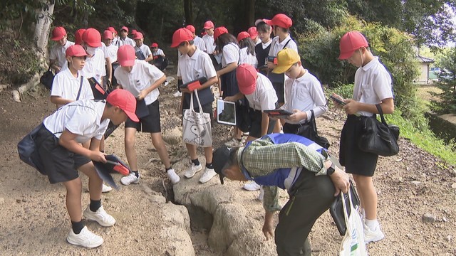 宇佐神社　さぬき市長尾名