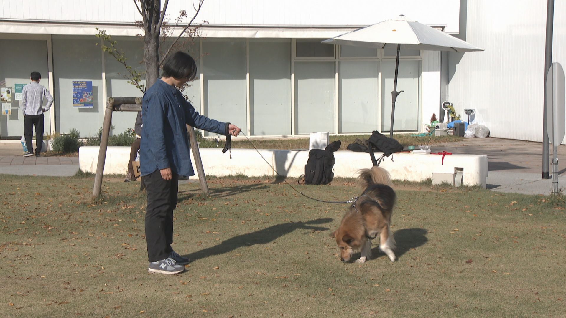 犬と一緒に過ごす上で身につけておきたい「トレーニング」を学ぶ