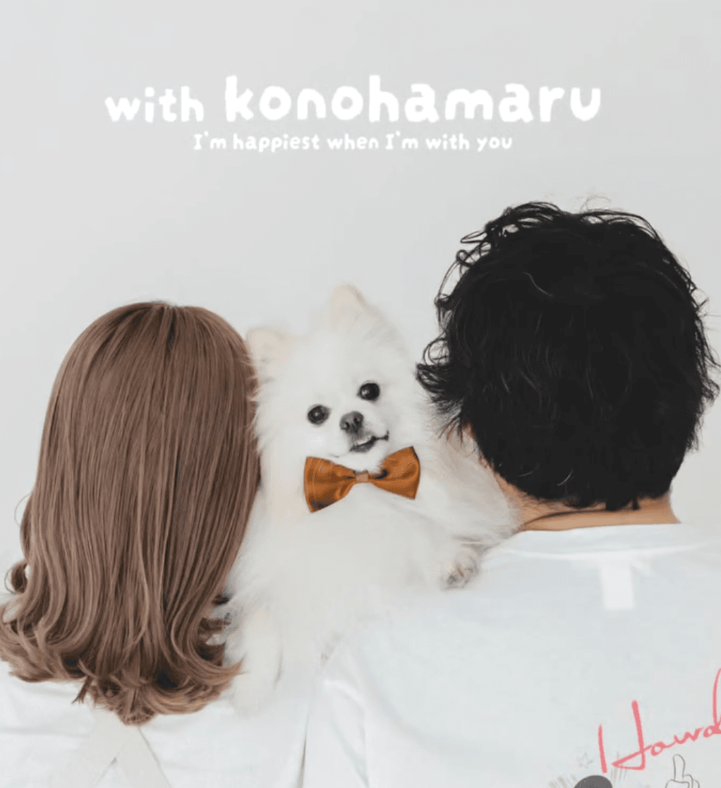 飼い主さんご夫妻にとって、このはまる君は大切な家族（提供：@konohadakoreさん）
