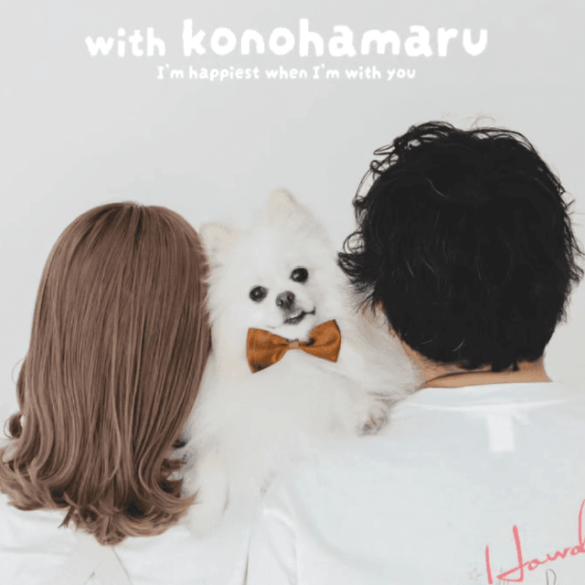 飼い主さんご夫妻にとって、このはまる君は大切な家族（提供：@konohadakoreさん）
