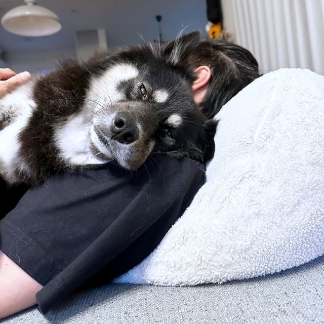 抱っこされながらカメラを見つめるみかんちゃん（画像提供：うーさんみーさん）